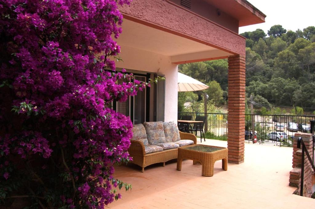 Casa Faura, Madrid (updated prices 2027)