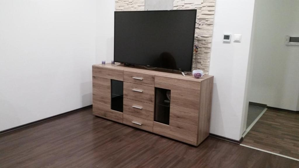 TV a/nebo společenská místnost v ubytování Apartment J&D