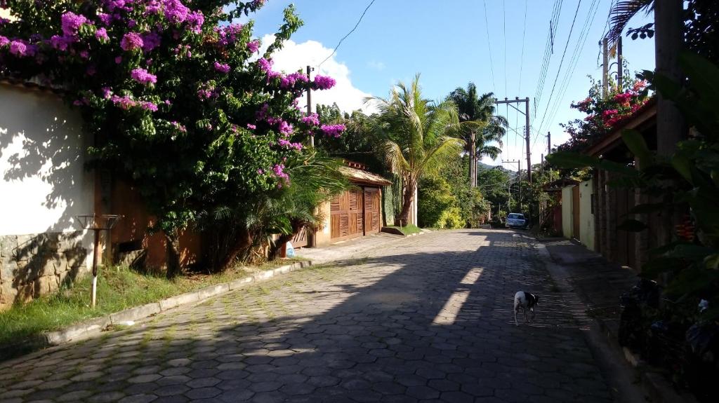  Casa das Embaúbas