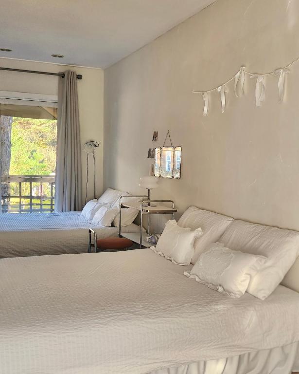 Honey Bear Pension - 