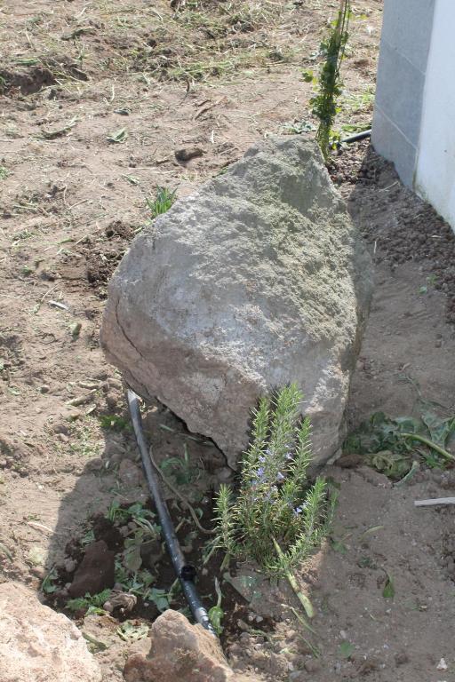 Fotografia z galérie ubytovania Il Dammuso di Tracino v destinácii Pantelleria
