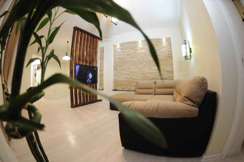 uma sala de estar com um sofá e uma planta em Poarta Ecaterina Residence em Braşov