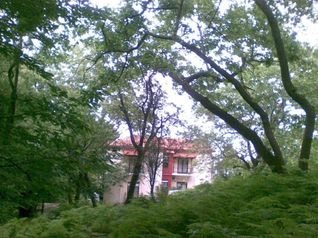 Příroda nedaleko hotelu