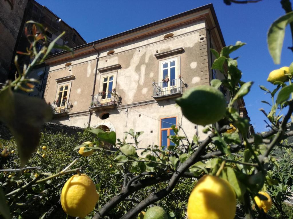 um edifício antigo com janelas e um limoeiro em La Casa sul Blu Albergo Diffuso em Pisciotta