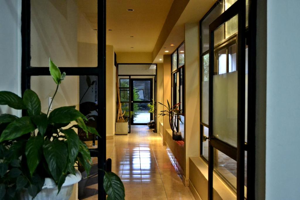 a hallway of a house with a plant at Guest House Jujuy in San Salvador de Jujuy
