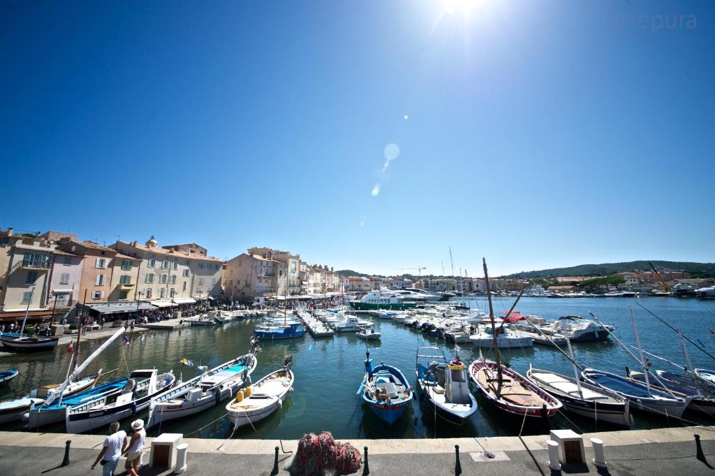 a group of boats are docked in a harbor at Sas Robrecht in Saint-Tropez