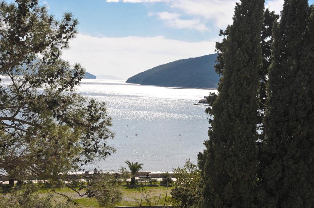 una vista de un lago desde entre dos árboles en Hotel Oaza, en Budva