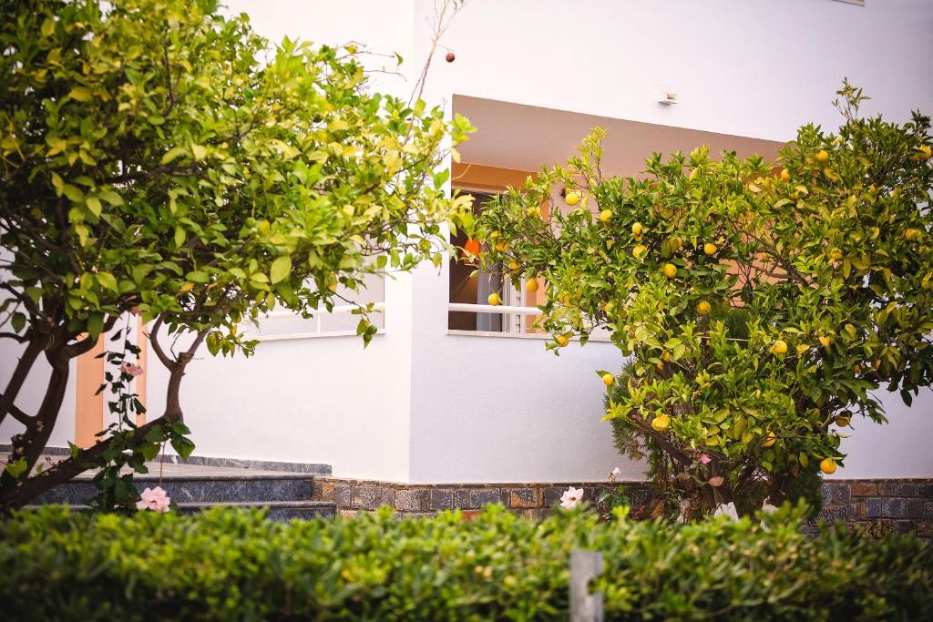 Primavera Paradise Apartments - 18