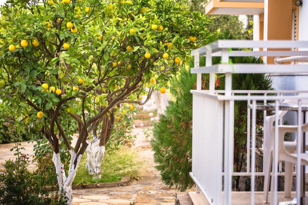 Primavera Paradise Apartments - 19