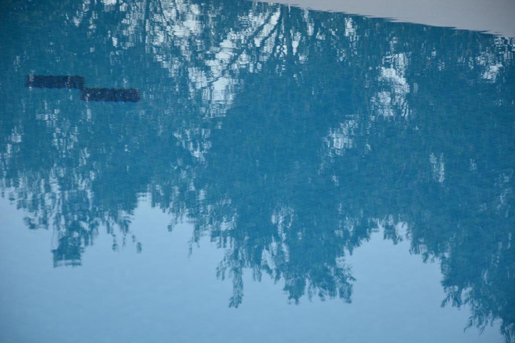 Primavera Paradise Apartments - 12