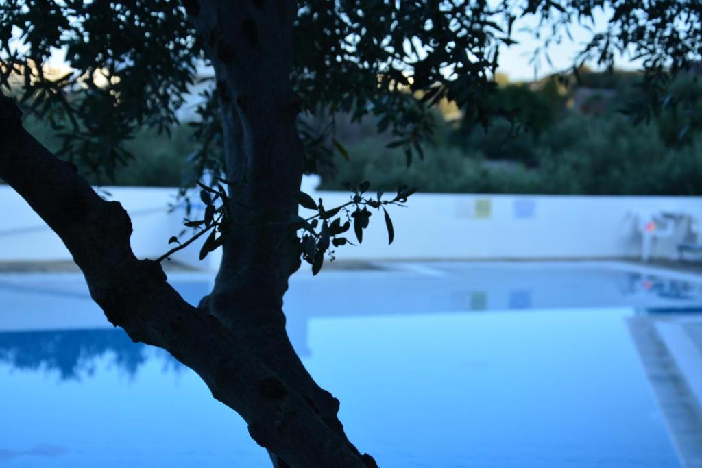 Primavera Paradise Apartments - 11