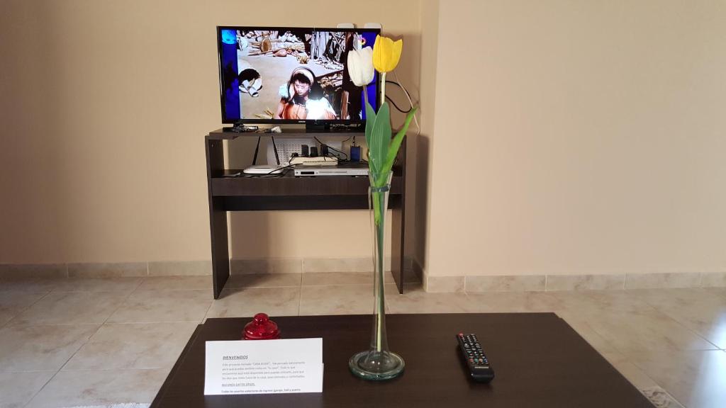 a vase with a yellow flower in front of a tv at Casa Rossi in Rafaela