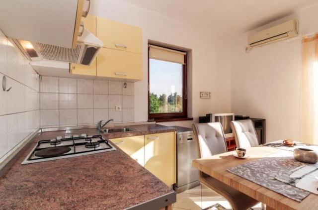 Kuchnia lub aneks kuchenny w obiekcie Apartments Andrej