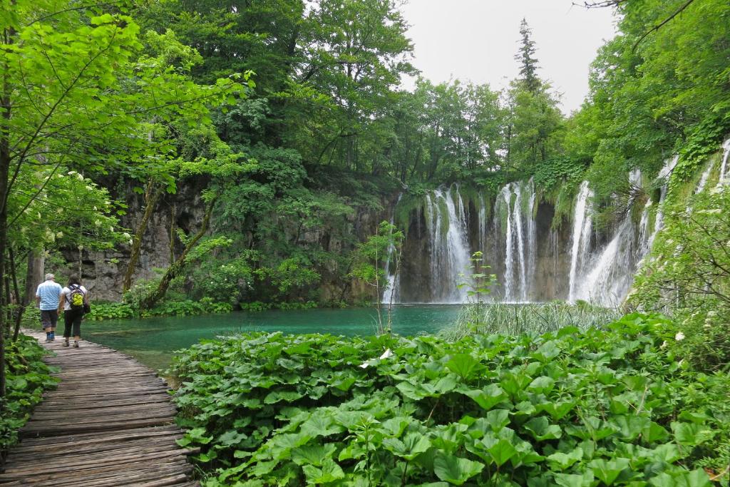 Guest House Ljubica - 14