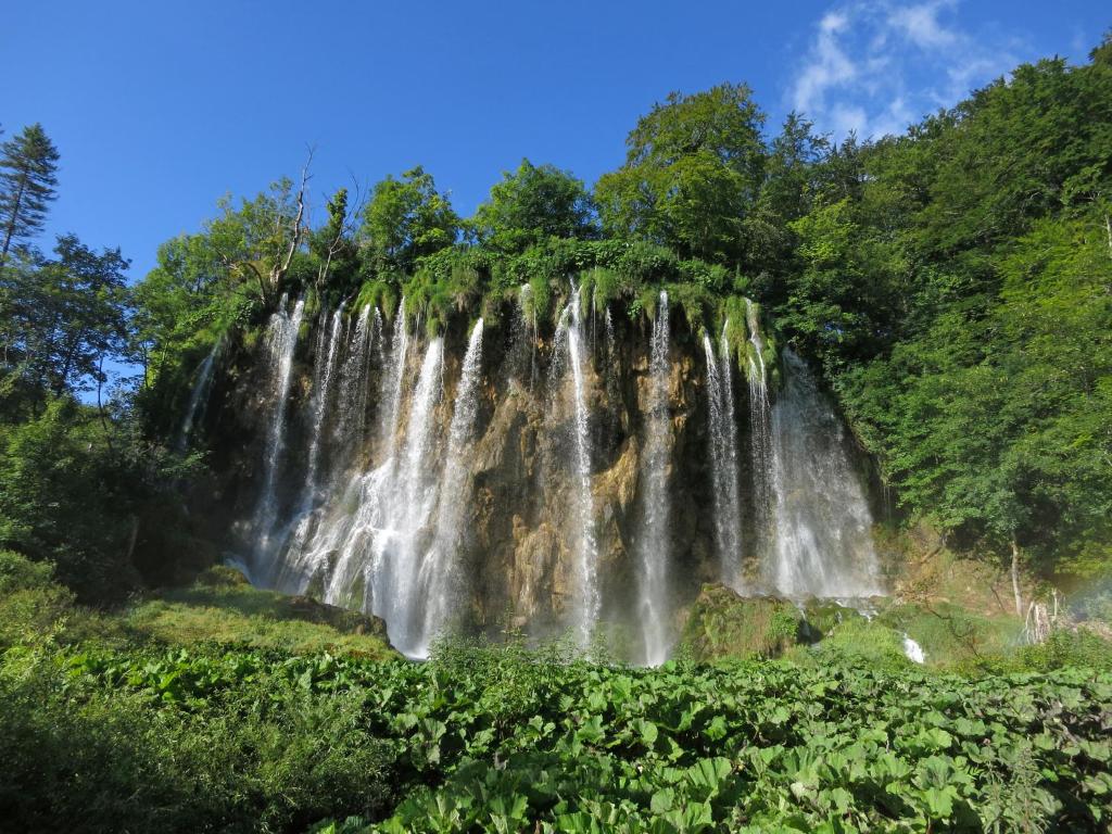 Guest House Ljubica - 17