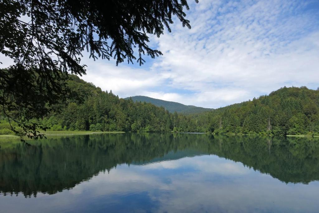 Guest House Ljubica - 13