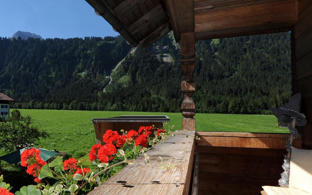a balcony with red flowers on a green field at Ferienbauernhof Erath in Schoppernau