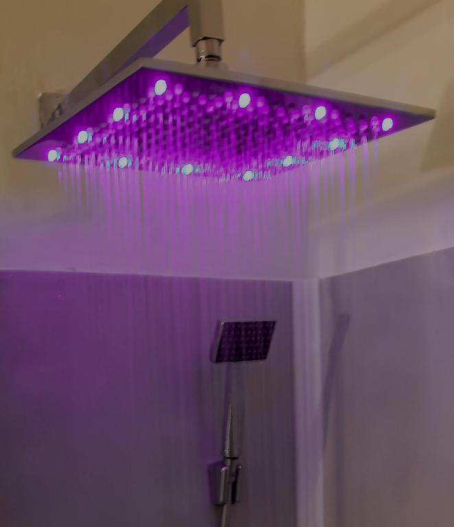 Barberini Dream - 13