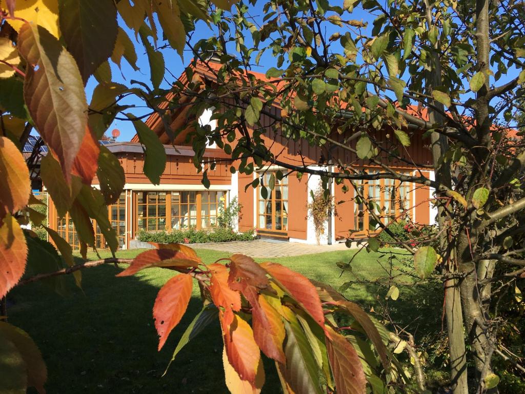 una casa con un árbol delante de ella en Haus Erika en Oberreute