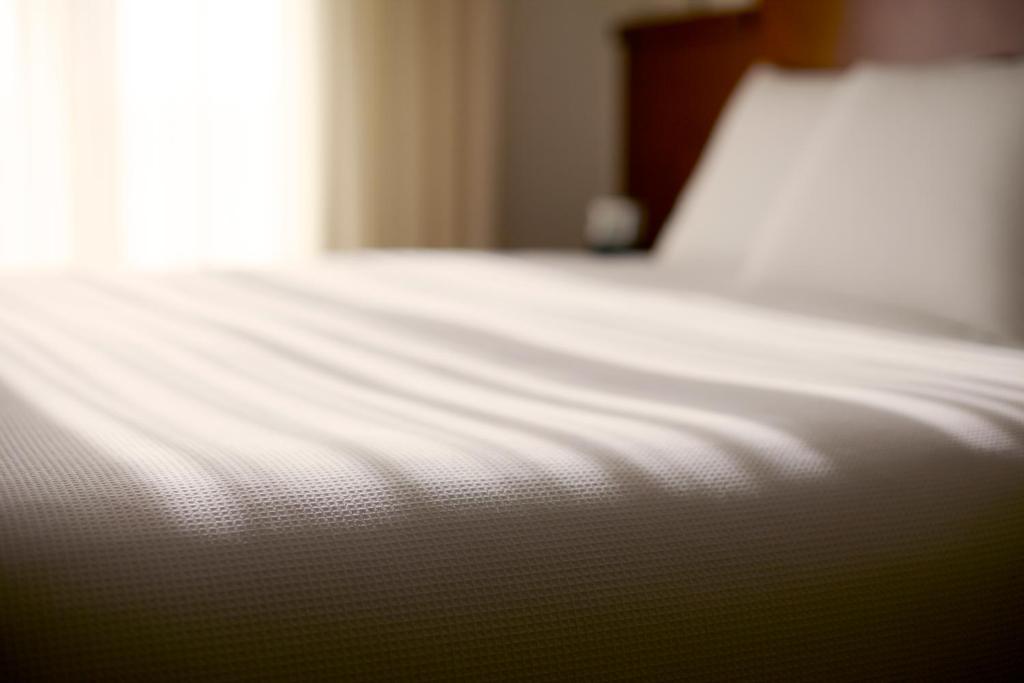 Hyatt Place Raleigh Durham Airport - Camera King Con Divano Letto - Piano Alto