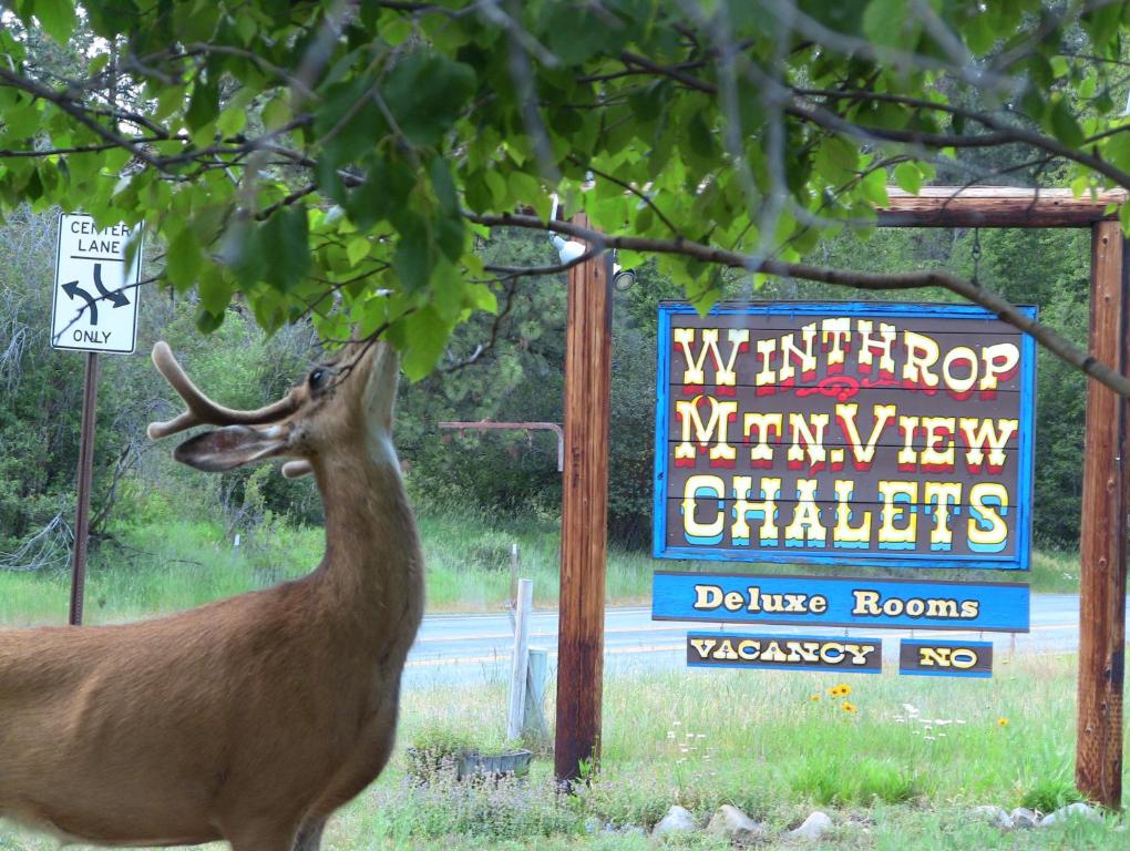 a deer standing in front of a sign at Winthrop Mountain View Chalets in Winthrop