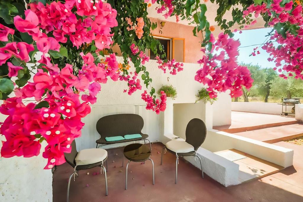 Vonkajšia záhrada v ubytovaní Alghero Guest House - Appartamenti in Villetta di Campagna, Piscina fuori terra a 4 minuti di auto dalla città