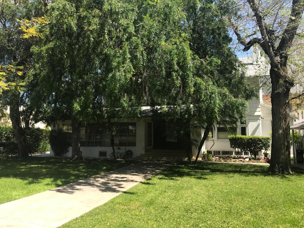 Orange Drive Hostel photo