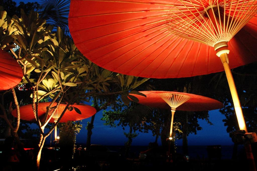 The Jomtien Twelve - Resim 21