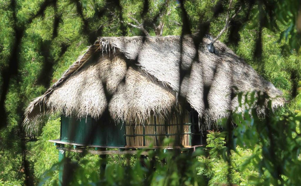 Fotografie z fotogalerie ubytování Yala Beddegama Eco v destinaci Kataragama