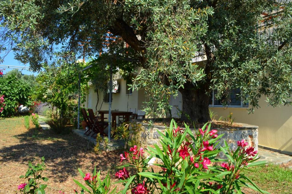 a house with a tree and flowers in the yard at Villas Zoe in Skiathos