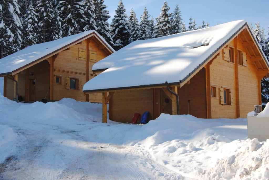 una cabaña cubierta de nieve con árboles en el fondo en Christelle et Laeticia, en Gérardmer