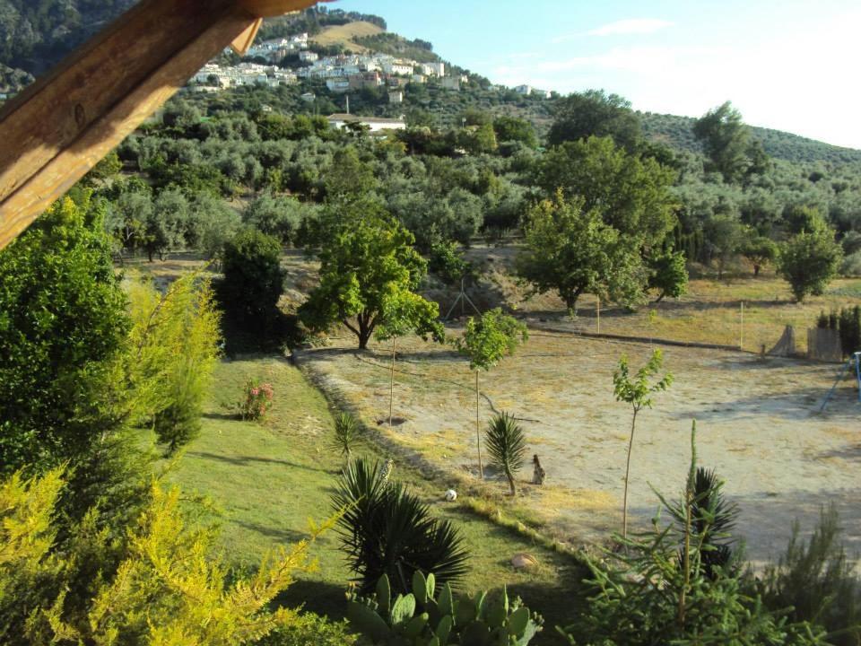 Príroda v okolí of the country house