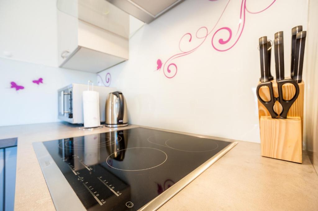 Kuchyňa alebo kuchynka v ubytovaní Apartment Tajana Residence