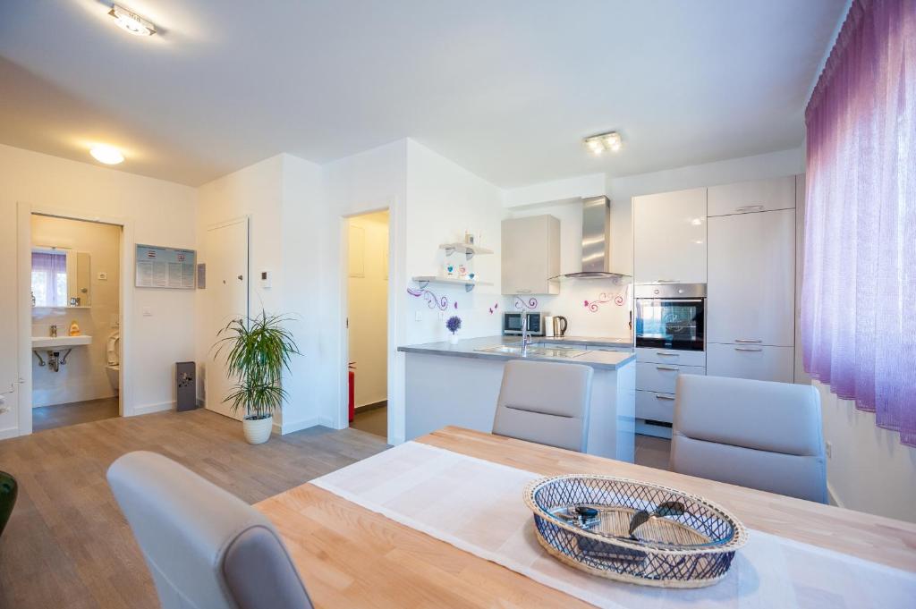 Kuchyňa alebo kuchynka v ubytovaní Apartment Tajana Residence