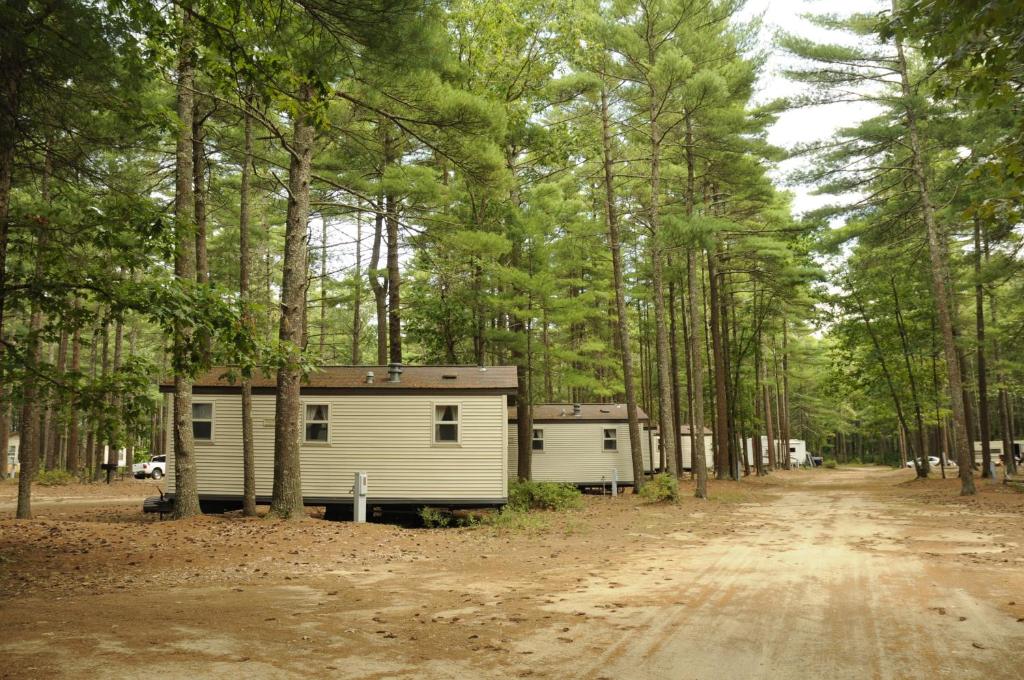 uma fila de casas móveis numa floresta em Gateway to Cape Cod Vacation Cottage 1 em Rochester