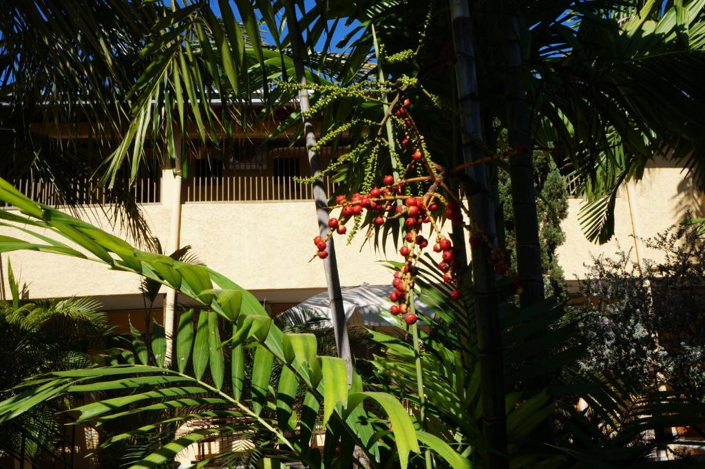  Pousada Rozam