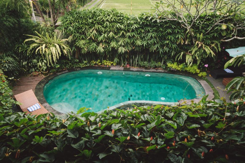 Bazén v ubytování Junjungan Ubud Hotel and Spa nebo v jeho okolí