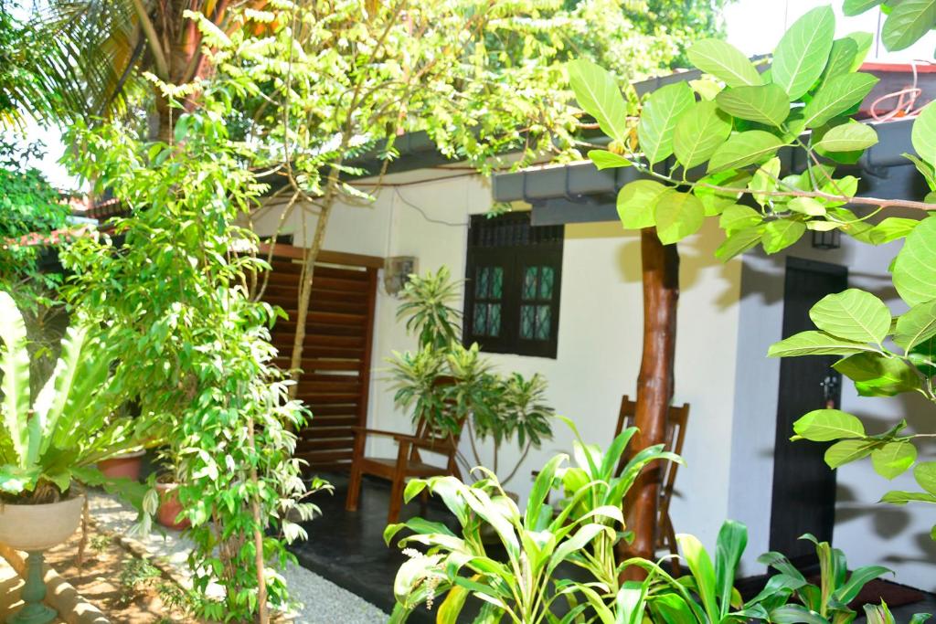 Zahrada ubytování Livinginn Polonnaruwa