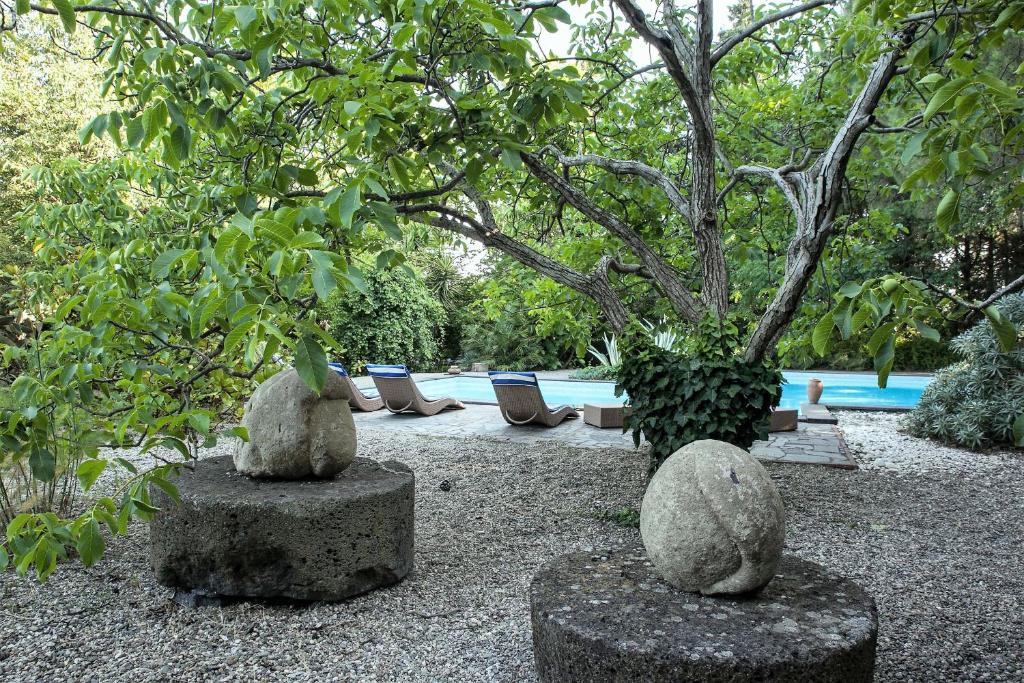 A garden outside Etna Botanic Garden