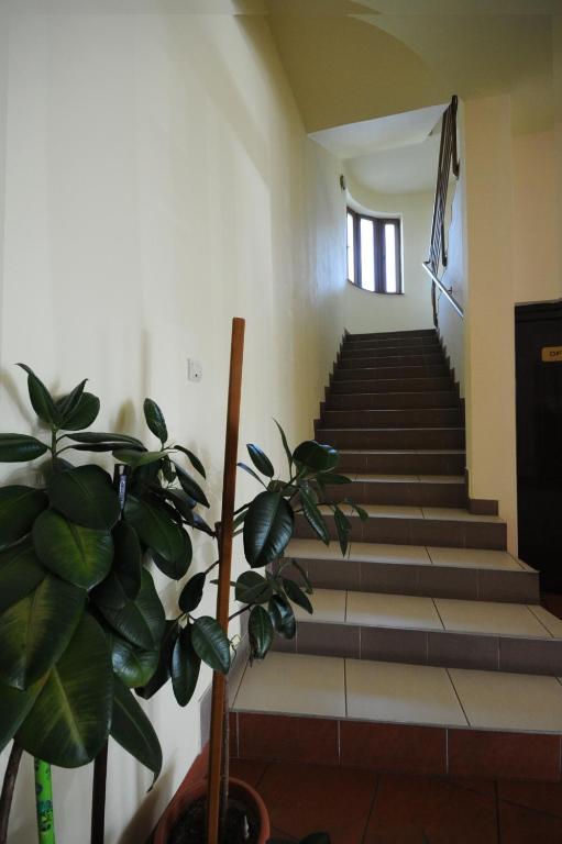 Hotel Everest - Resim 24