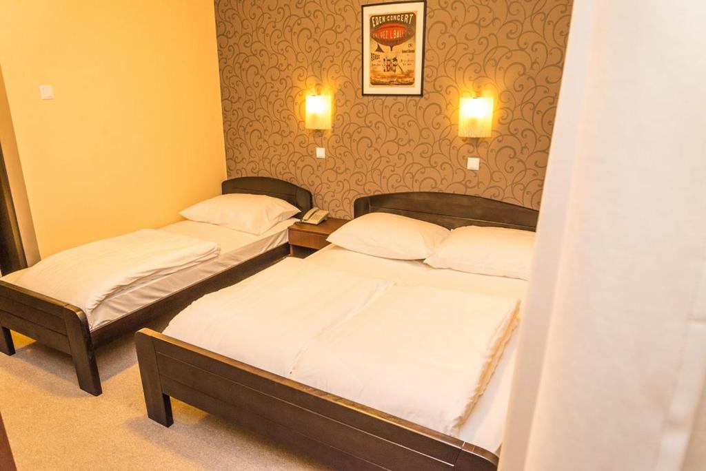 Postel nebo postele na pokoji v ubytování Hotel Drinska lasta