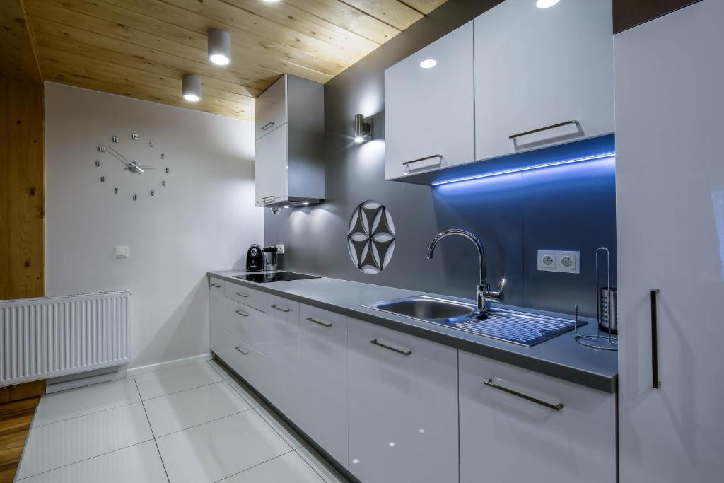 Kuchyňa alebo kuchynka v ubytovaní Apartament Tatrzanski Raj