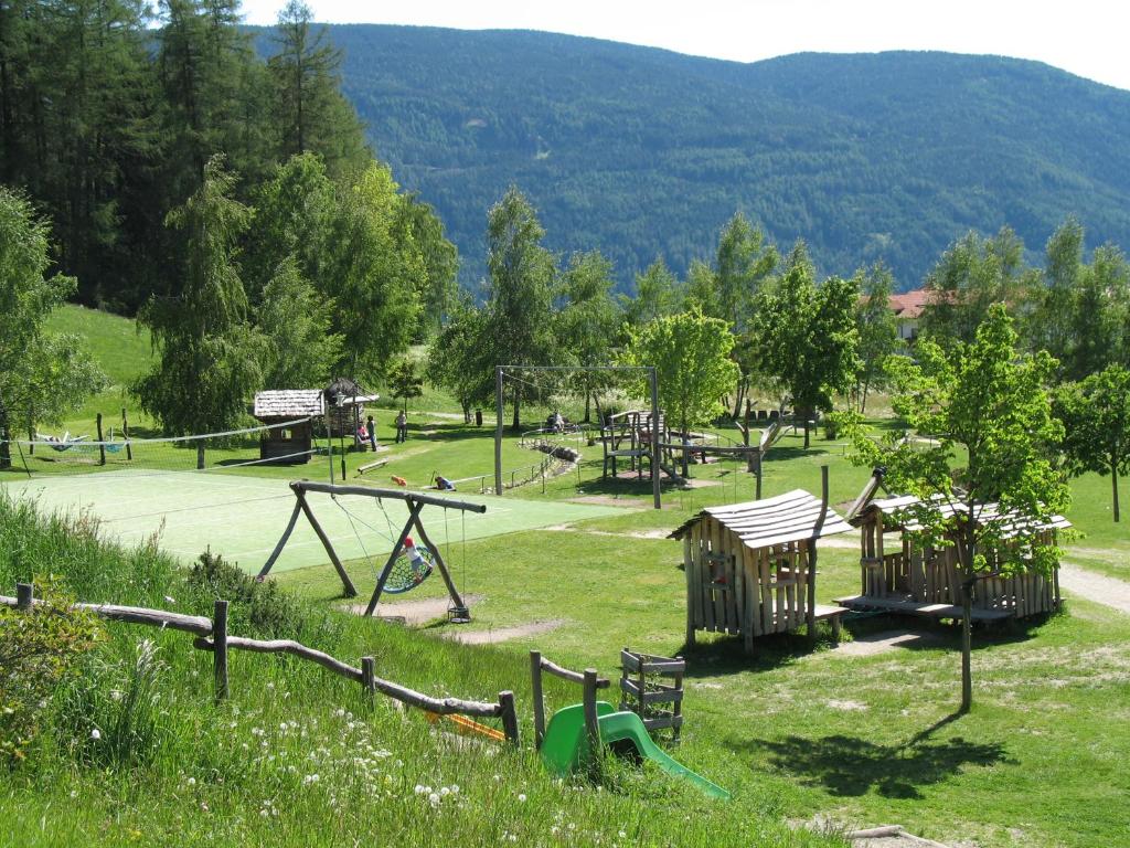 Príroda v okolí farmy