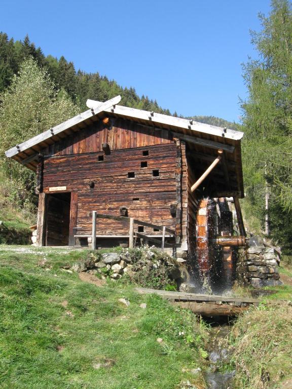 Príroda v okolí farmy