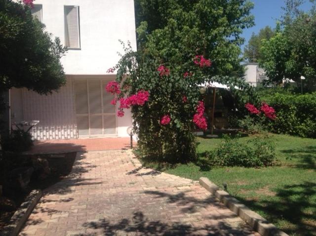 ウジェントにあるCasa Vacanze Turcheseの家の前のピンクの花の茂み