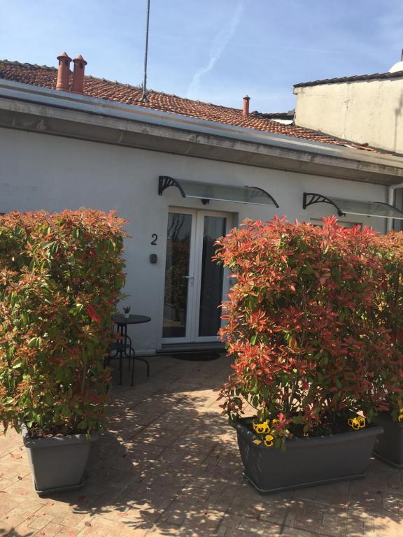 Zahrada ubytování La Terrazza