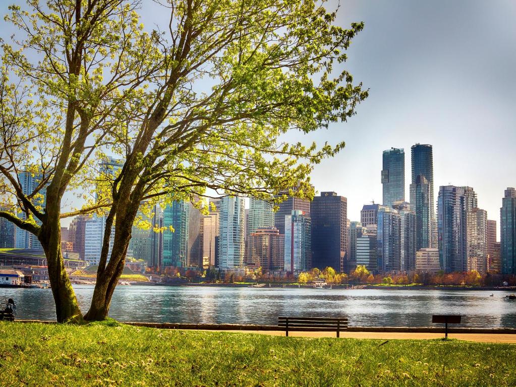 Pinnacle Hotel Harbourfront - Resim 31