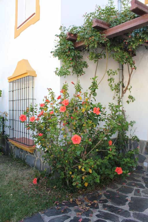 A garden outside Casa Gil - La Vega