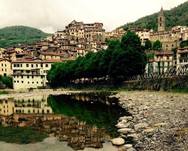 un grupo de edificios en una colina junto a un río en Sul Ponte Affittacamere, en Pigna