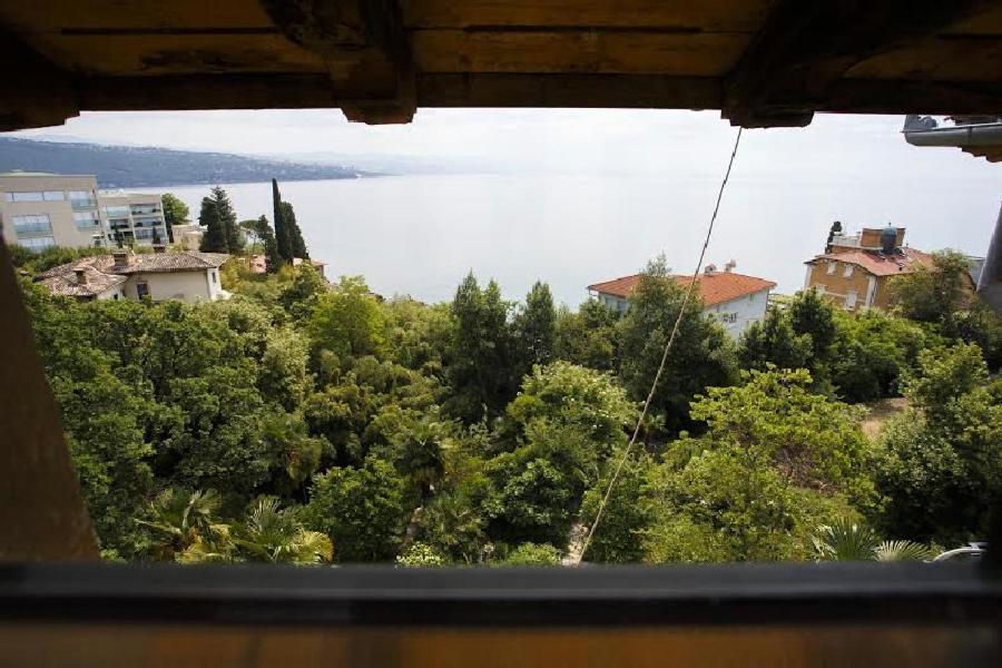 Príroda v okolí apartmánu